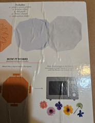 American Crafts Quicksie Daisy Flower Press Kit-15 Pieces- Nature Activity