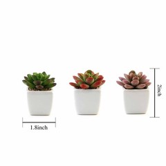 Set of 3 3″ tall Mini Faux Succulent Plants with Off White Ceramic Pots Wedding