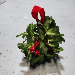 6 pcs Ganz Kissing Krystals Acrylic Small Mistletoe Kiss Ball 7″ Ornament $60