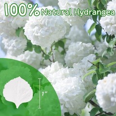 Natural Hydrangea Petals Wedding Decor Romantic Parties Reusable Eco-Friendly US