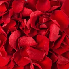180 PCS Red Rose Petals Confetti – Freeze Dried Flower Decor for Weddings & Vale