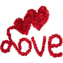 5000PCS Red Artificial Fake Rose Petals Wedding Romantic Event Party Decor USA