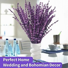 Dried Purple Lavender Flowers Bundle-Dried Preserved Lavender Purple-1.76oz