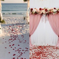 Notoke 2000PCS Artificial Silk Rose Petals Fake Rose Decoration for Romantic