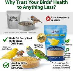 Alpiste 100% Non-Gmo Double Cleaned Canary Seed 5Lbs | Canary and Fi