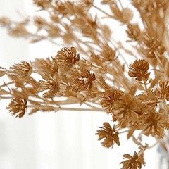 4 GOLD Metallic Artificial Baby’s Breath Flower Bouquets Party Events