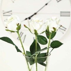 CREAM 24 Artificial 31″ Long Stem Silk ROSE FLOWERS Party Events Decorations
