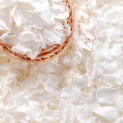 500+ PCS Real White Rose Petals, 4.57Oz (130G) Preserved White Flower Petal for