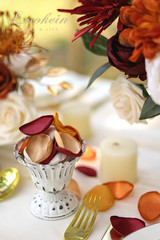 300Pcs Terracotta Rose Petals Satin Flower Petals for Wedding Flower Girl Basket