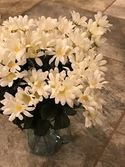 Cream Daisy Bunches Michael’s Craft Store/120 count/15 Daisies per Bunch