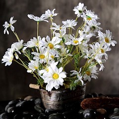 WHITE 6 Bushes 20″ SILK ARTIFICIAL DAISY FLOWERS Sprays Wedding Party Supplies