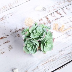 Set of 3 5″ tall Assorted Artificial Faux Succulent Plants with Off White Pots
