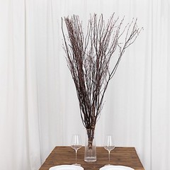 6 Natural Extra Long 46″ Birch Tree Branches Vase Fillers FLOWERS STEMS Wedding