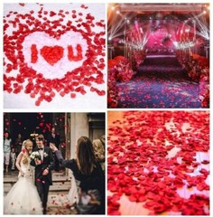 1000PCS Rose Petals Artificial Fake Rose Petal Flower Petals Wedding Party Decor