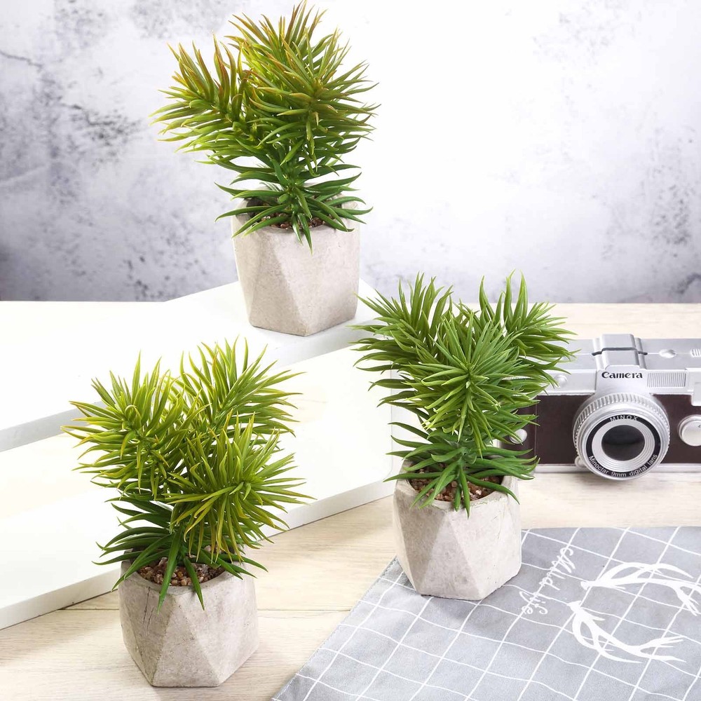 3 8″ Green Assorted Faux Crassula Succulent Plants Ceramic Pots Home Centerpiece