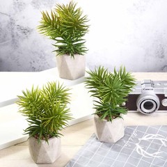 3 8″ Green Assorted Faux Crassula Succulent Plants Ceramic Pots Home Centerpiece
