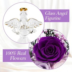 Casaido Mothers Day Rose Gifts for Women, 7″ Purple Preserved Roses Flowers in G