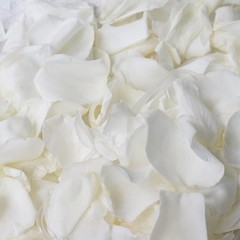 Dried Real White Rose Petals 2.1oz Freeze Preserved Flower Petals Valentine’s