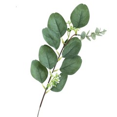 Green 14 Stems 12″ Artificial Eucalyptus Faux Leaves Sprays Party Decorations