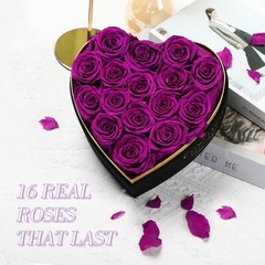 Preserved Roses Flowers for Delivery 16 Pcs, Mothers 16 Roses, Purple