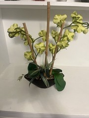 Huge Orchid Flower Display 17in Green Artificial Silk Flowers in Black Pot Faux