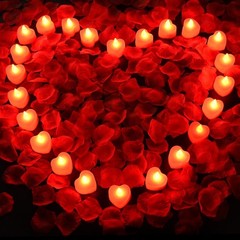 2000pcs Red Artificial Rose Petals with 24pcs Red LED Tea Lights Kit