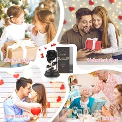 Deluxsa Forever Preserved Black Rose Birthday Gifts for middle,