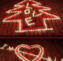 800 Pc Rose Petals, Dark Red Petals For Romantic Night Valentine/birthday/propos
