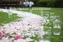 1000 – 5000 Silk Rose Petals Flower Table Decoration Confetti Wedding Party DIY
