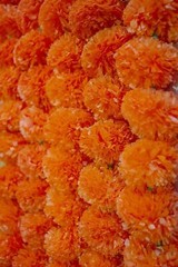 Artificial Orange Hanging Flowers Marigold Fluffy Garland Decoration (Pack Of 6)
