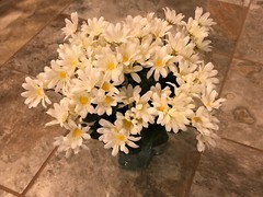 Cream Daisy Bunches Michael’s Craft Store/120 count/15 Daisies per Bunch
