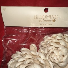 Sola Wood Flowers By Blooming Autumn NIP 20 Cream Flowers (10 Packs)