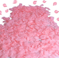1500 pétalos de rosa de seda rosa para una noche romántica
