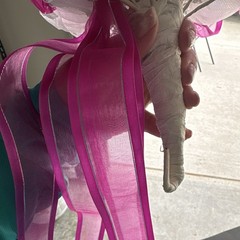Quince crystal bouquet