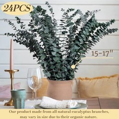 24 Pcs Dried Eucalyptus for Shower Hanging – 17” Real Large Preserved 24 PCS