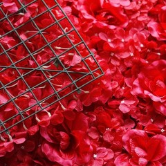 8 Red Roses and Hydrangea Flowers Mat Wall Backdrop Panels Wedding Decorations