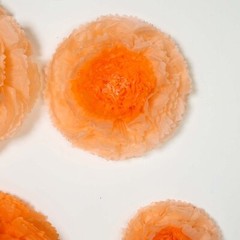 24 pack 12″ 16″ 20″ Coral and Orange Tissue Paper Carnation Flowers Backdrop
