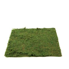 18″ x 16″ Green Natural Preserved Moss Sheet Party Wedding Crafts Decorations