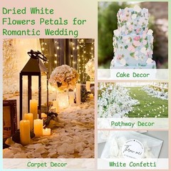 1500Pcs Real Dried Ivory White Hydrangea Flower Petals Natural smal Petals