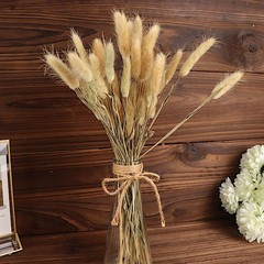 NATURAL 50 Stems 15″ Rabbit Tail Dried Natural Pampas Grass SPRAYS Party Events