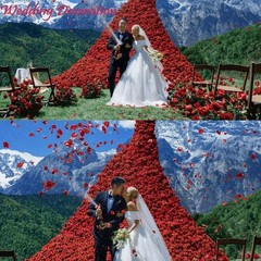 Romantic 2200 PCS Dark-Red Silk Rose Petals for Weddings & Special Occasions