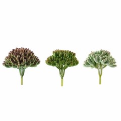 3 Green 4″ Assorted Faux Jelly Bean Succulent Sprays Stems Wedding Centerpieces