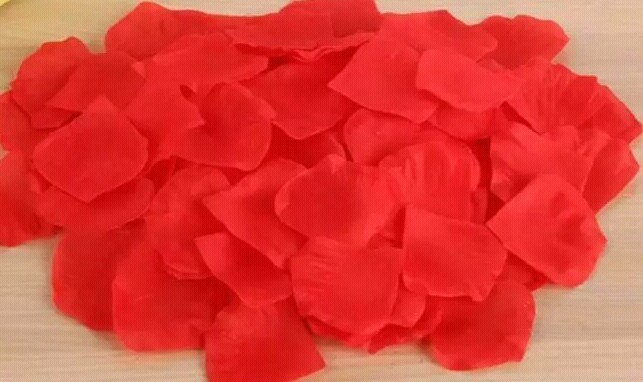 Wedding Table Decor DIY Scrapbooking Shower Red Rose Flower Petals Engagement
