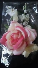 CORSAGE>PINK FUCHSIA IVORY>ROSES/LILY OF THE VALLEY/ORCHIDS>IVORY/PINK RIBBONS