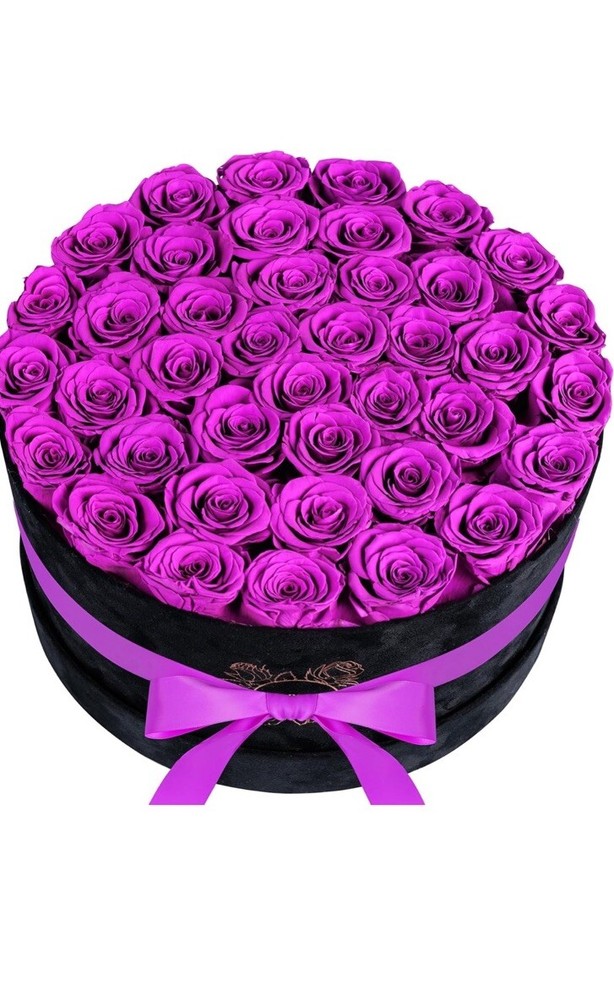 U Forever Roses Purple