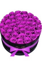 U Forever Roses Purple