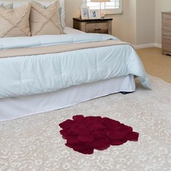 500 Dark Red Rose Petals – Lightweight, Reusable, and Stylish Decor Solution