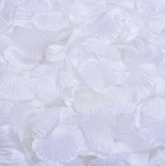 CODE FLORIST 1100 PCS White Silk Rose Petals for Valentine’s Day,Romantic Night,