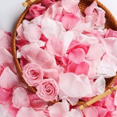 180 PCS Real Pink White Rose Flower Petals Confetti Wedding to Throw 1.75oz