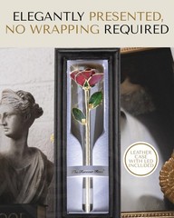 Forever Rose Gold Trimmed Red Open (With Leather Case), Case
